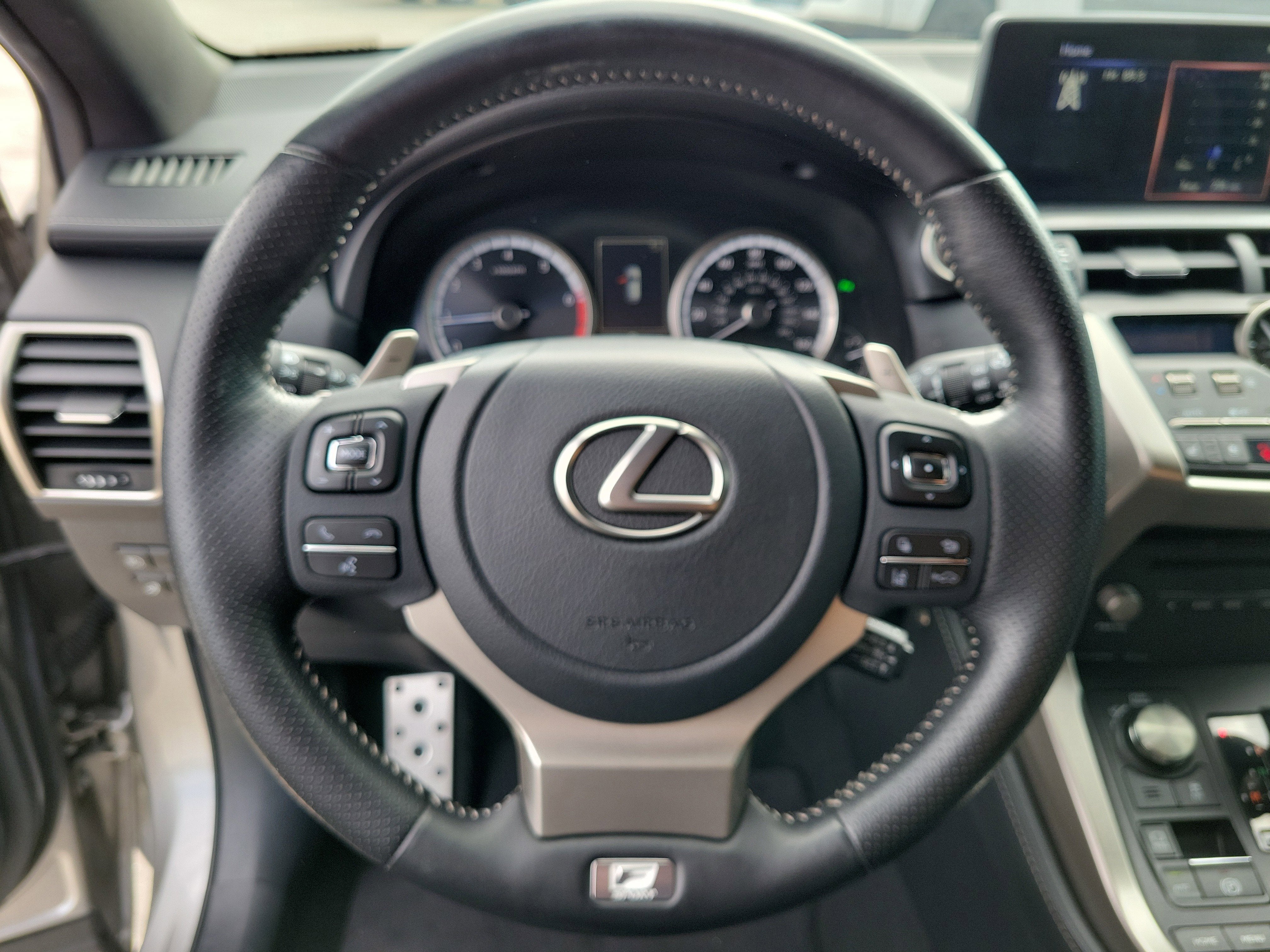 2021 Lexus NX NX 300 F SPORT